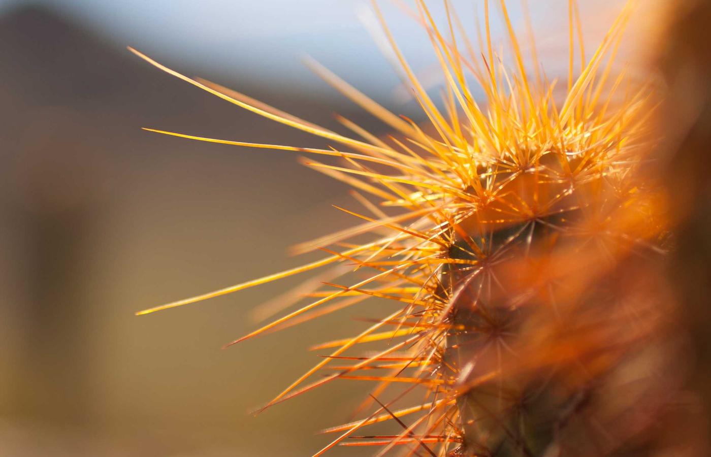 Diagram showing different orbital regimes around Earth.