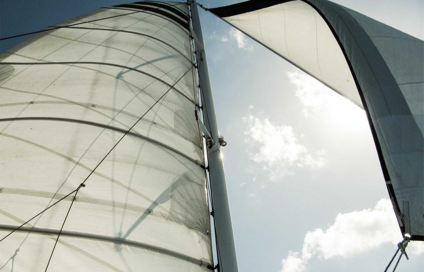 Portrait of Dr. Alistair Finch